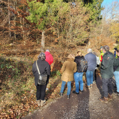 Foto einer Waldexkursion: Die Teilnehmenden betrachten Maßnahmen zum Wasserrückhalt im Soonwald.