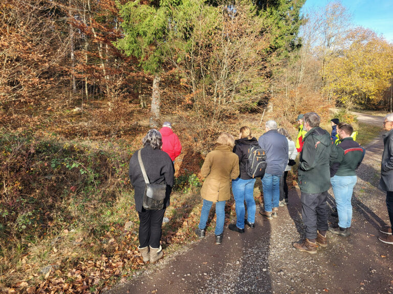 Foto einer Waldexkursion: Die Teilnehmenden betrachten Maßnahmen zum Wasserrückhalt im Soonwald.