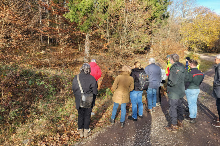 Foto einer Waldexkursion: Die Teilnehmenden betrachten Maßnahmen zum Wasserrückhalt im Soonwald.