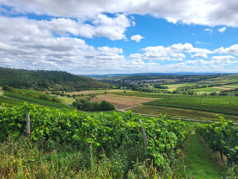 Blick auf die Landschaft bei Wallhausen und Gutenberg