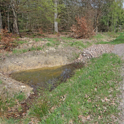 Rigole mit Absetzbecken im Soonwald
