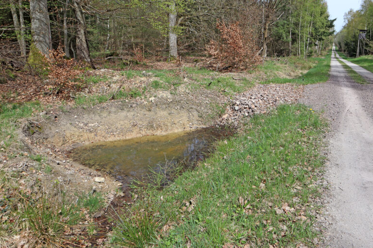 Rigole mit Absetzbecken im Soonwald