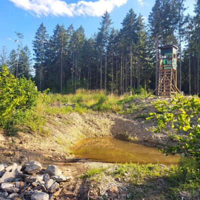 Sickermulde im Soonwald bei Dörrebach