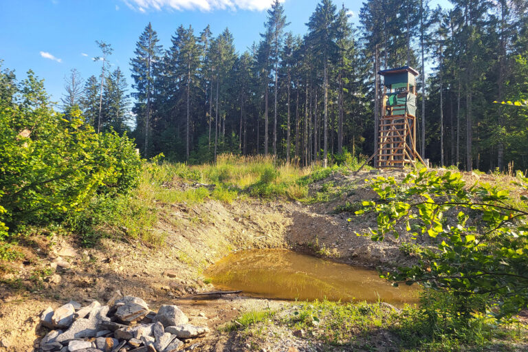 Sickermulde im Soonwald bei Dörrebach