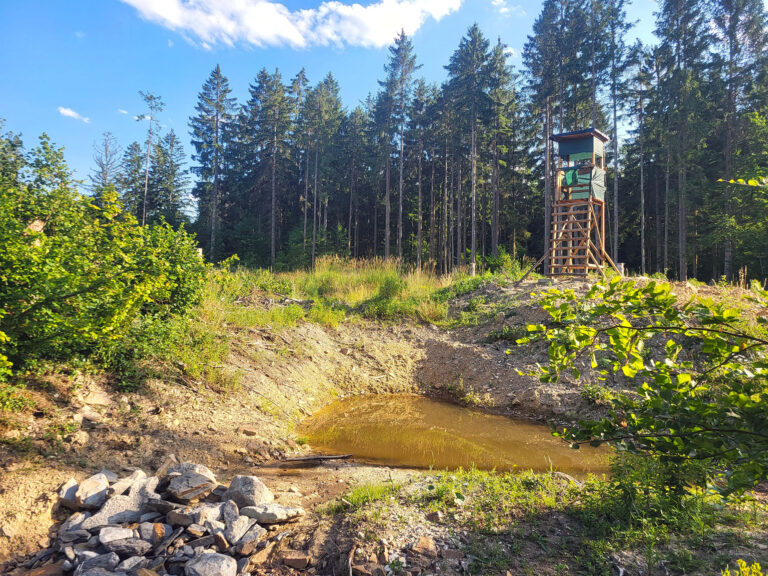 Sickermulde im Soonwald bei Dörrebach