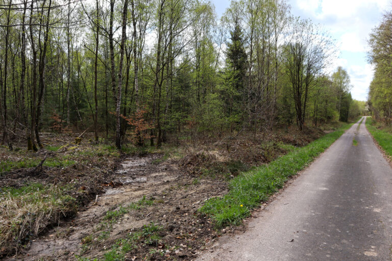 Ein Foto eines Wasserabschlags im Soonwald; das Grabenwasser wird in die Fläche geleitet.