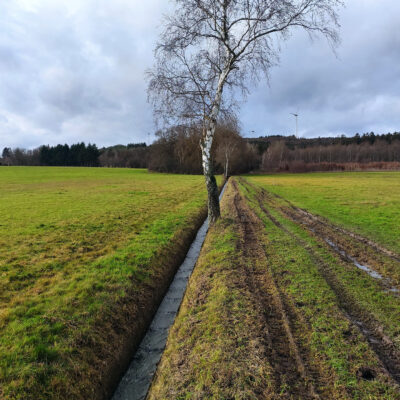 Wasser fließt durch eine offene Entwässerungsrinne zwischen Grünland-Flächen