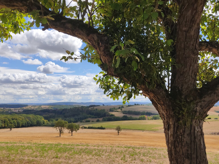 Blick in die Landwirtschaft und nach Sponheim (© Naturpark Soonwald-Nahe 2022)