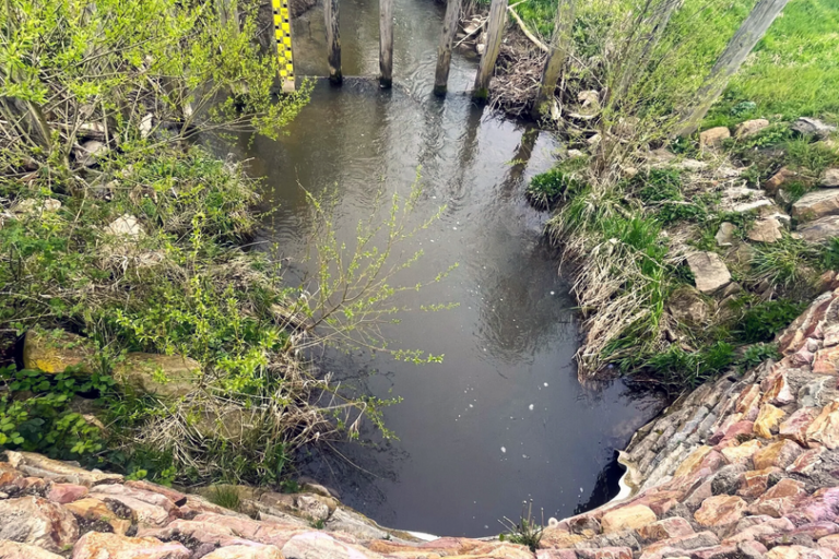 Blick von der Damm-Brücke auf den Appelbach mit Treibgutfang