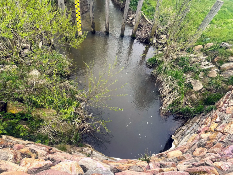 Blick von der Damm-Brücke auf den Appelbach mit Treibgutfang