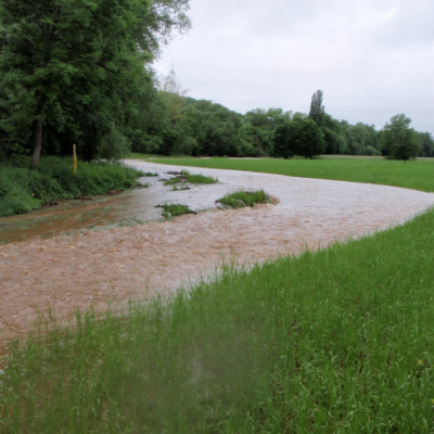 Der Gräfenbach bei hohem Wasserstand