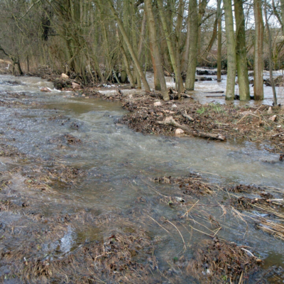 Auf dem Foto sieht man den Gräfenbach mit hohem Wasserstand und dessen überflutete Aue