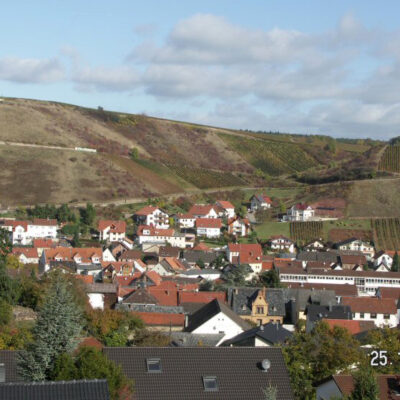 Foto der brachliegenden Flächen am wallhäuser Johannisberg vor der Umstrukturierung