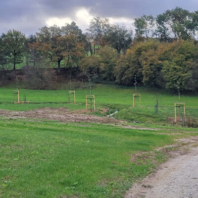 Mäandrierender Verlauf des renaturierten Kondbachs