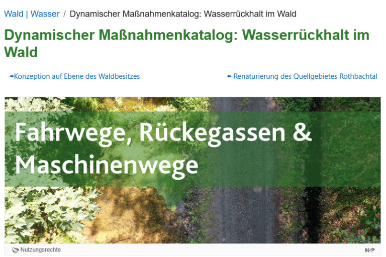 Beispielbild Landesforsten - Dyn. Maßnahmenkatalog