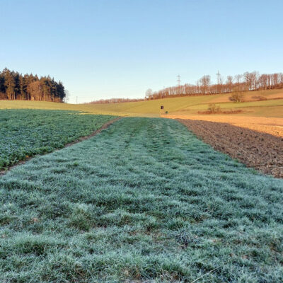 Foto eines grasbewachsenen Pufferstreifens zwischen Ackerschlägen