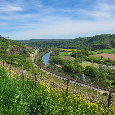 Foto der Landschaft bei Niederhausen: Weinberge, Landwirtschaft, Felsen und im Tal die Nahe