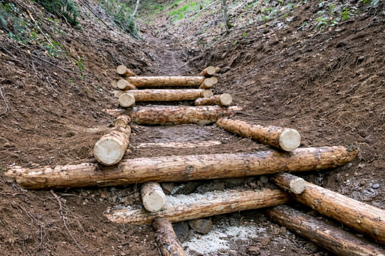 Foto von kastenartig gebauten Rundhölzern zur Verlangsamung des Abflusses im Kerbtal