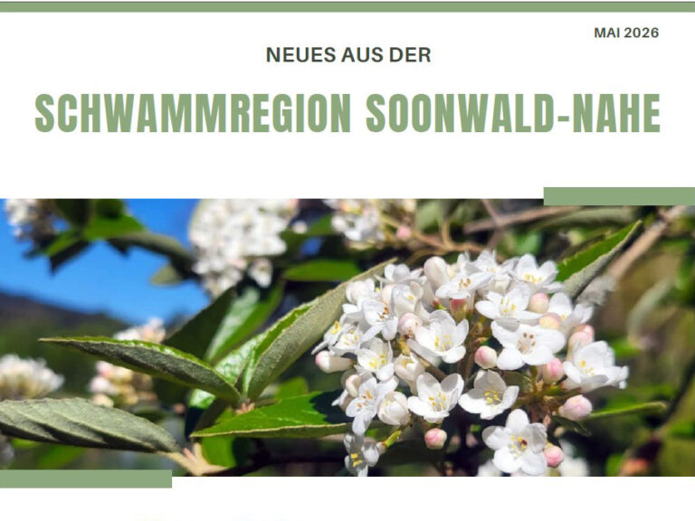 Titelseite Neues aus der Schwammregion - Mai-Ausgabe