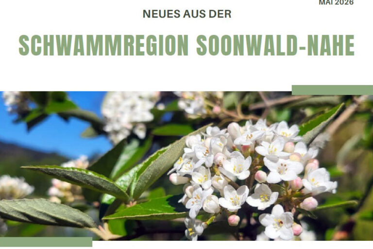 Titelseite Neues aus der Schwammregion - Mai-Ausgabe
