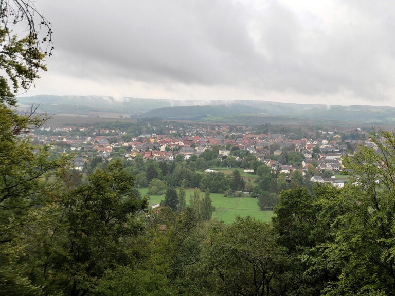 Foto mit Blick auf Bad Sobernheim. Im Vordergrund Wald und Landwirtschaft, dahinter die Stadt. Bewaldete Hügel im Hintergrund.