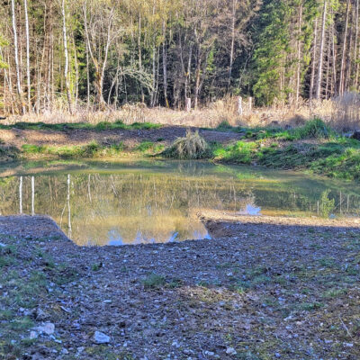 Foto des fertigen Tümpels bei Dill