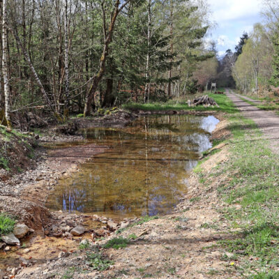 Foto einer großen Mulde zum Wasserrückhalt (Wanne) im Soonwald