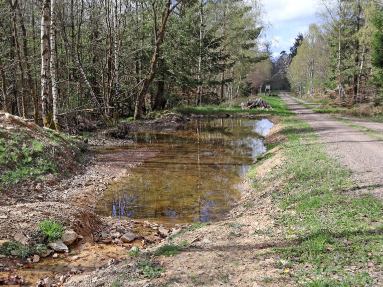 Foto einer großen Mulde zum Wasserrückhalt (Wanne) im Soonwald
