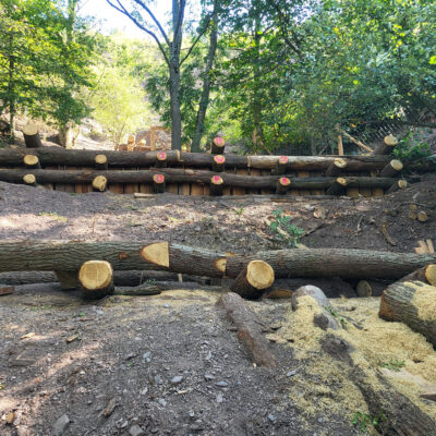 Foto der Holzkastenbauten