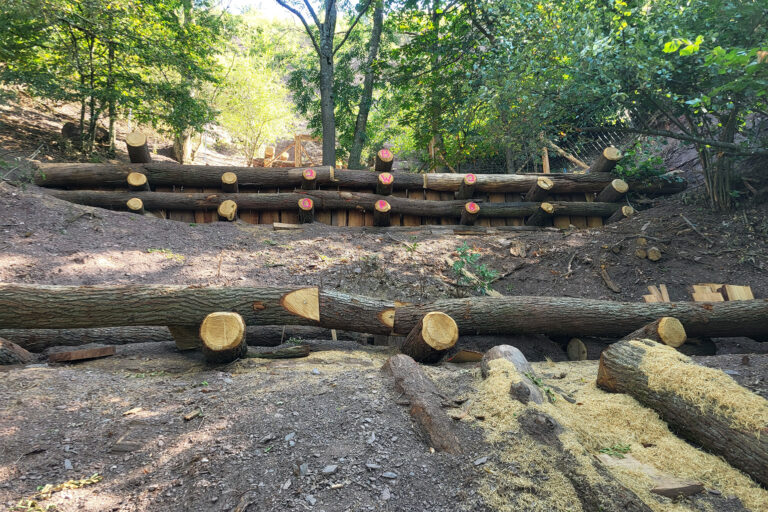 Foto der Holzkastenbauten