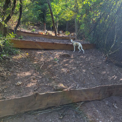 Holzquerbauten