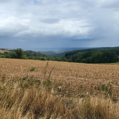 Foto der Landschaft zwischen Schöneberg und Hergenfeld