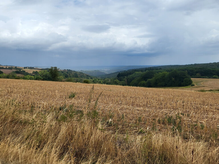 Foto der Landschaft zwischen Schöneberg und Hergenfeld